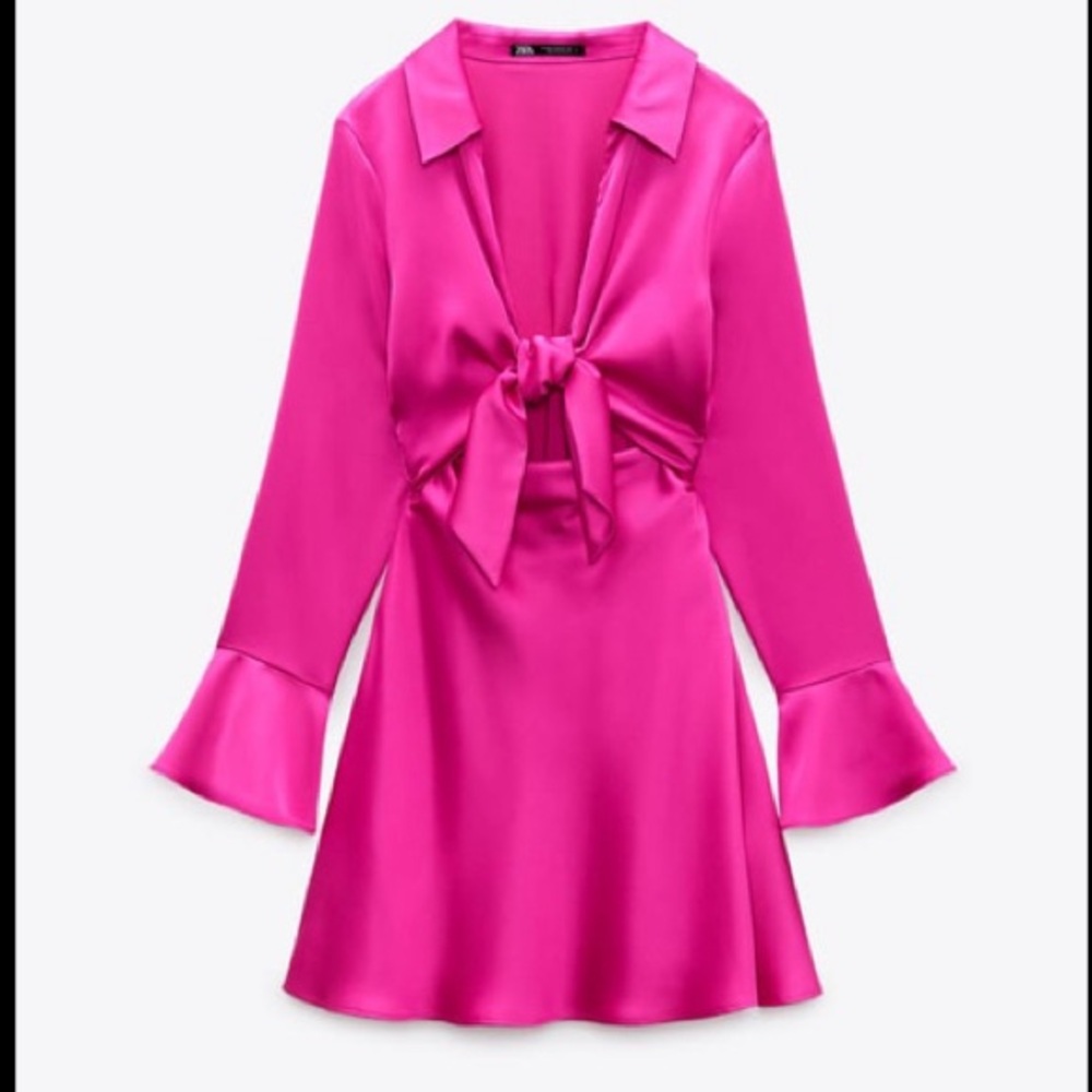 Hot Pink Zara Dress